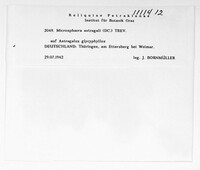 Image Associated With the Occurence